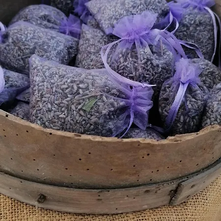 Fattoria Branciana לינה וארוחת בוקר