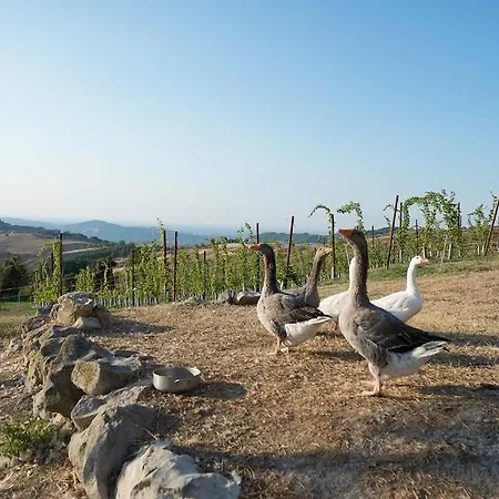 Fattoria Branciana 住宿加早餐酒店