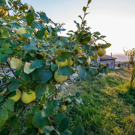 Fattoria Branciana Bed and breakfast Rossena