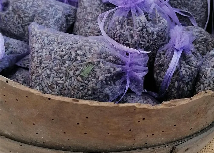 Fattoria Branciana Bed & Breakfast